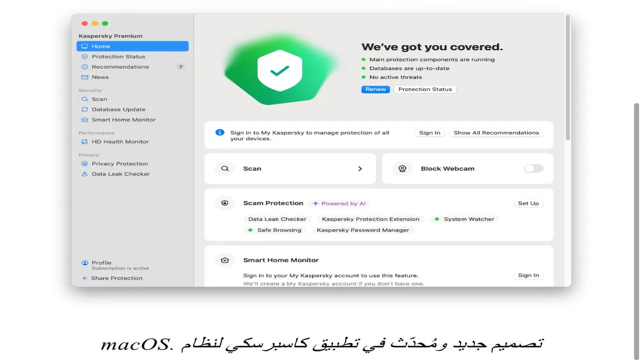 نحو 60% من مستخدمي الإنترنت في مصر تعرضوا لعمليات احتيال